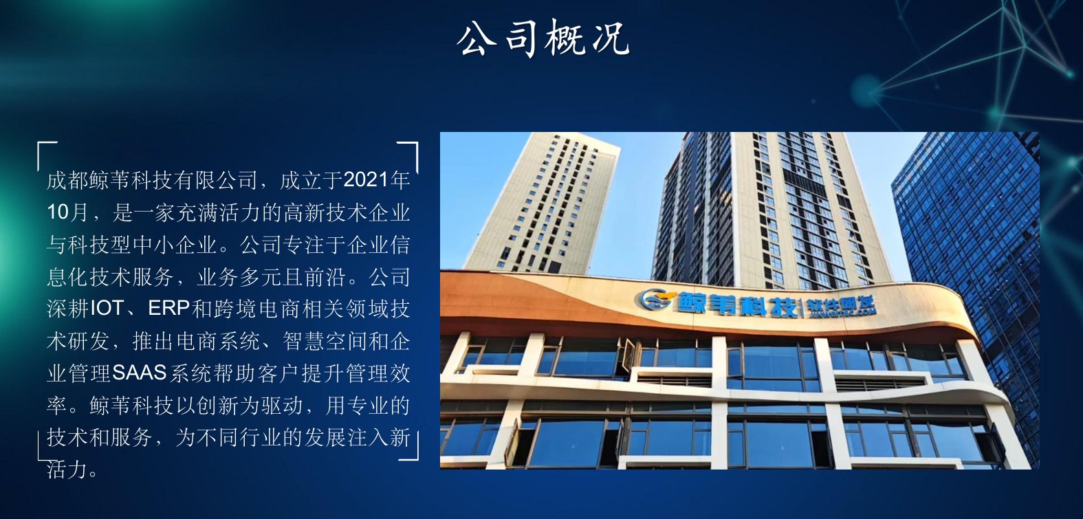 成都鲸苇科技有限公司公司概况