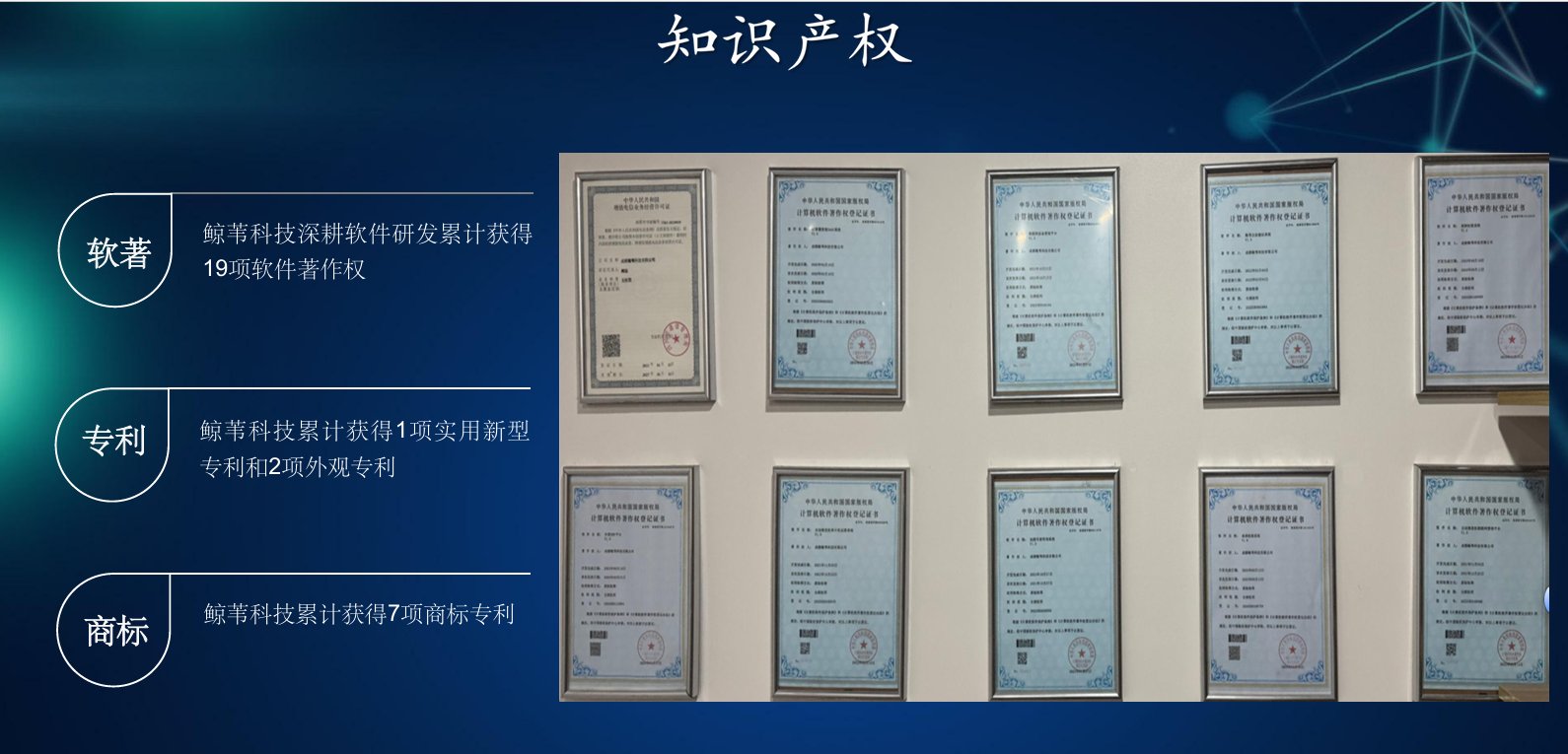 知识产权证书墙